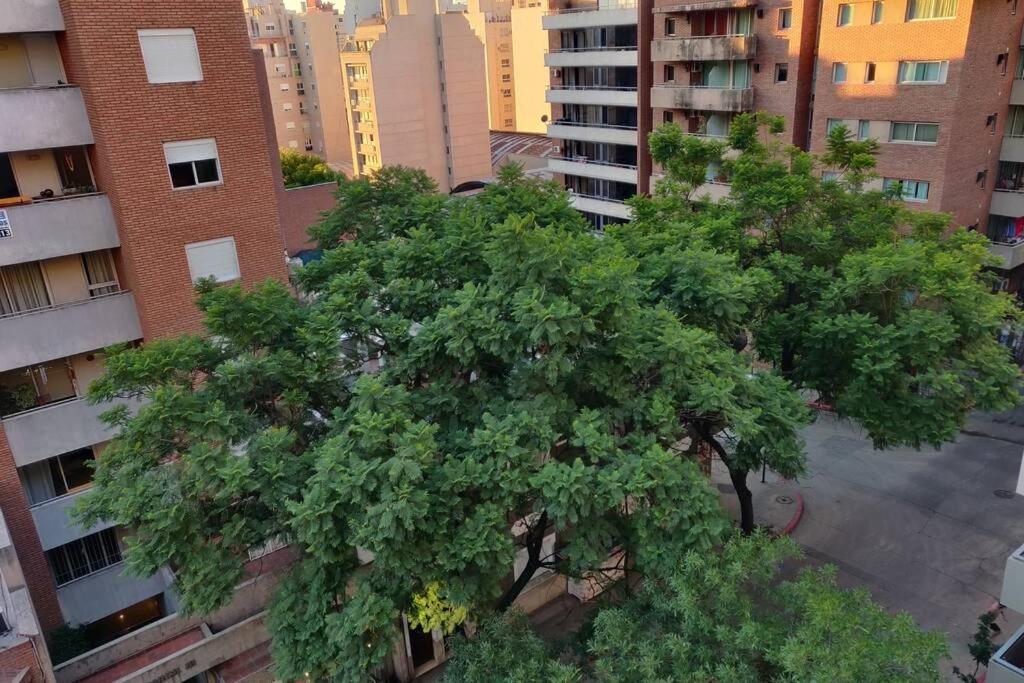 Serena Flat * Cordoba